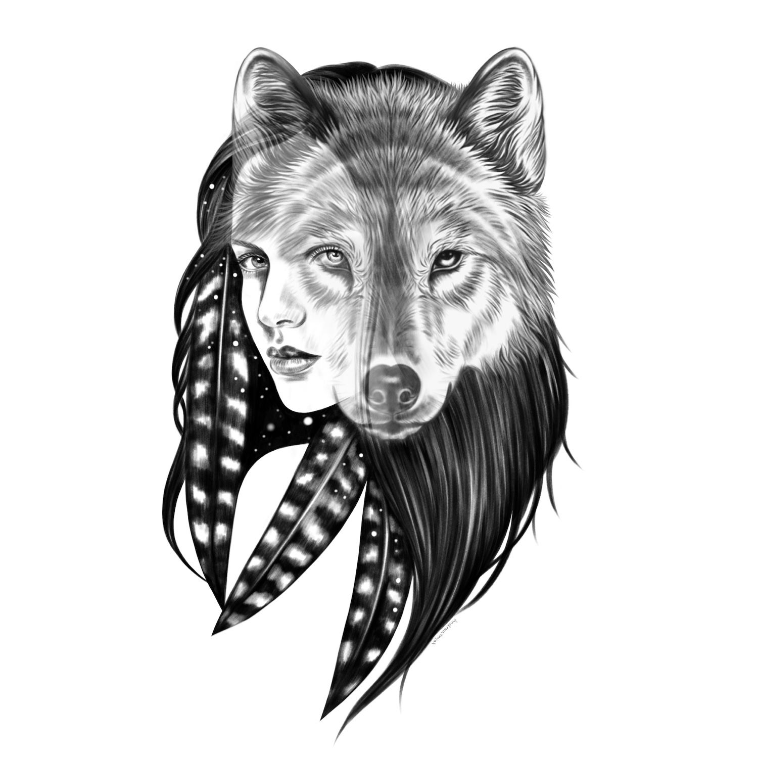 Black and white illustration of she wolf.